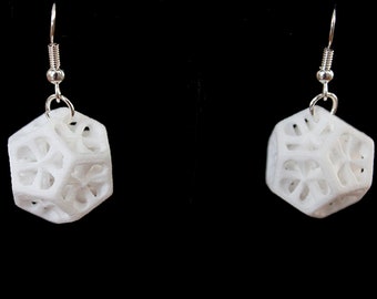 Dodecahedron Earrings