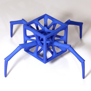 Arachno-Hedron