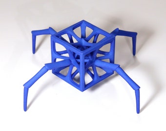 Arachno-Hedron