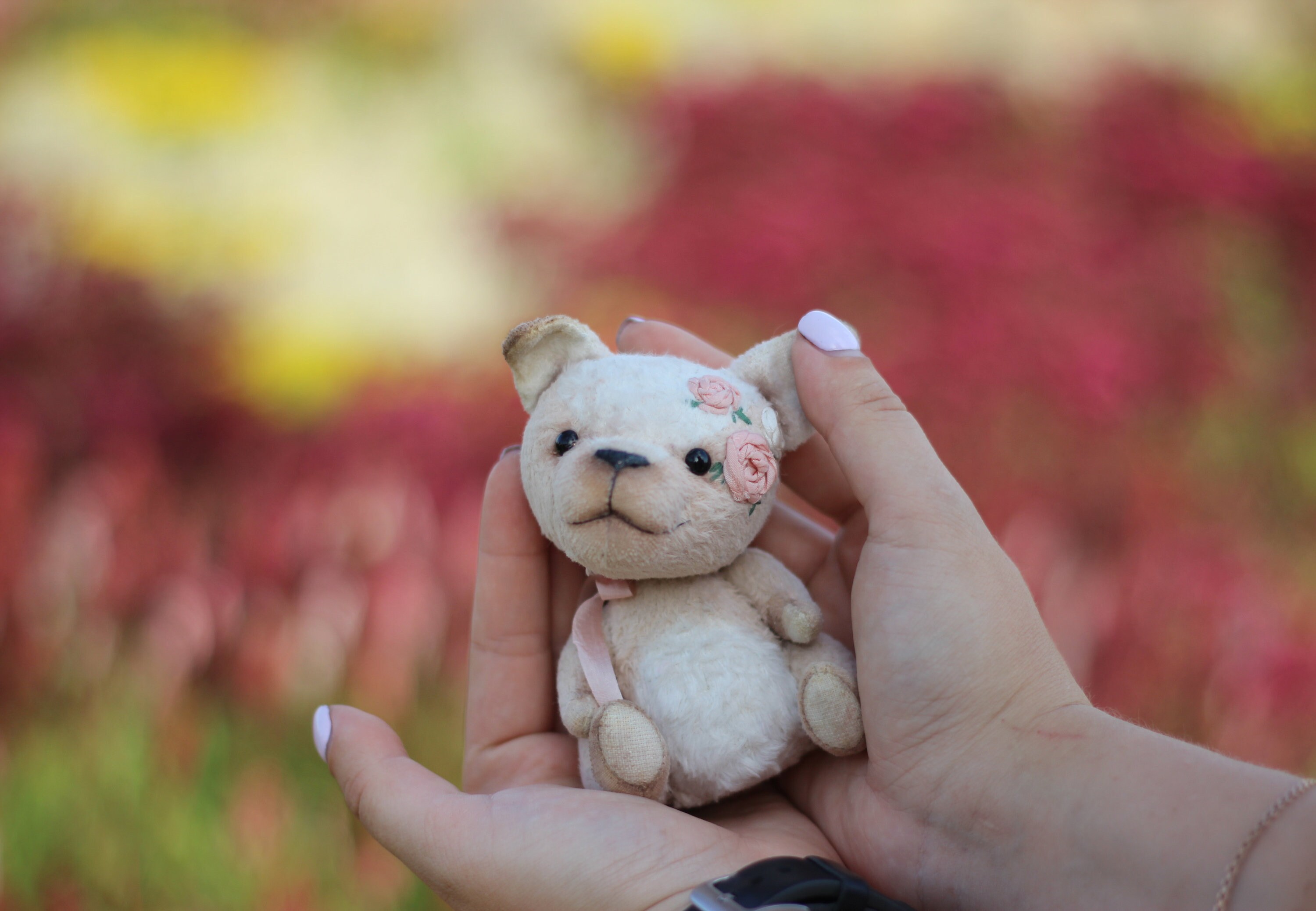 dog teddy bears