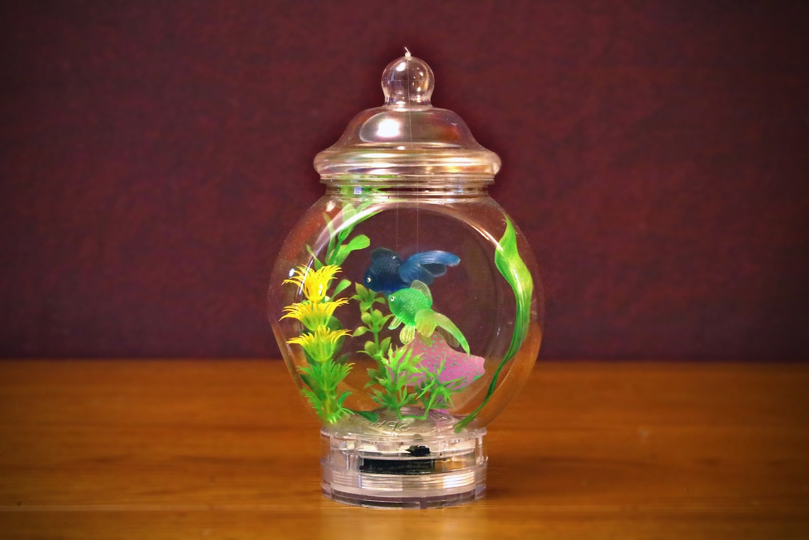 FishBowl Lamp Tropical Edition Etsy