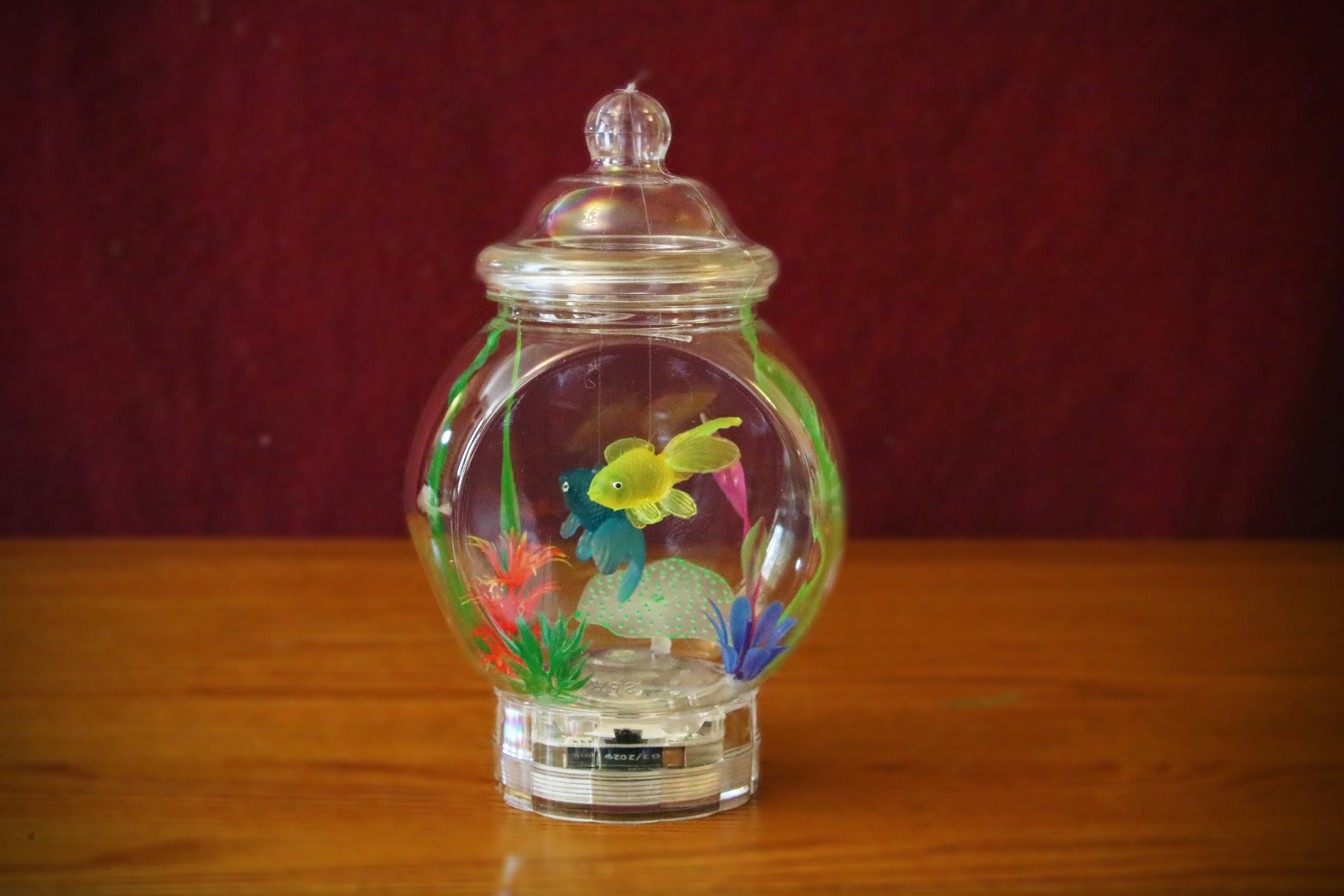 Fishbowl Lamp Tropical Edition Etsy