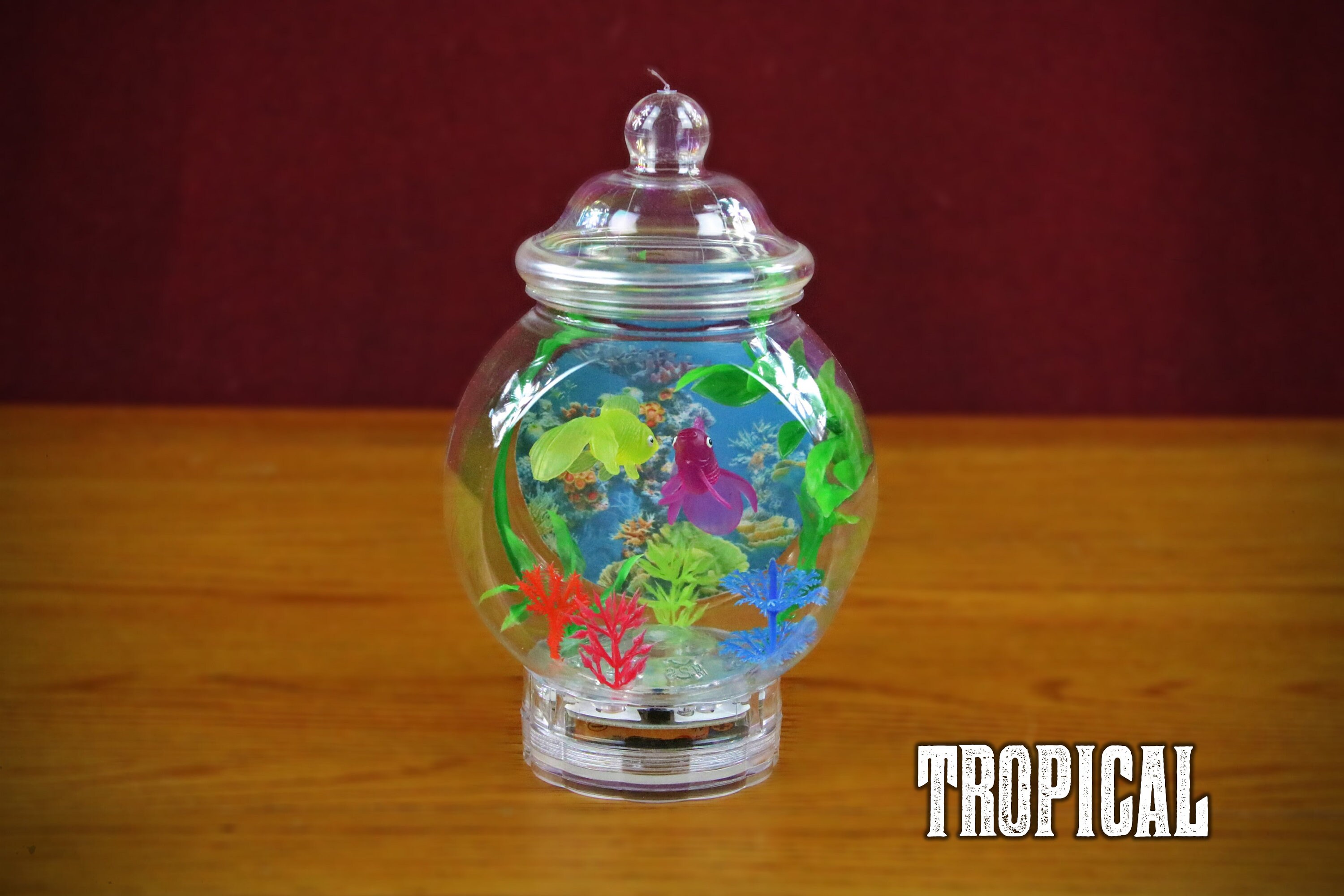 Fishbowl Lamp With Backdrop Etsy