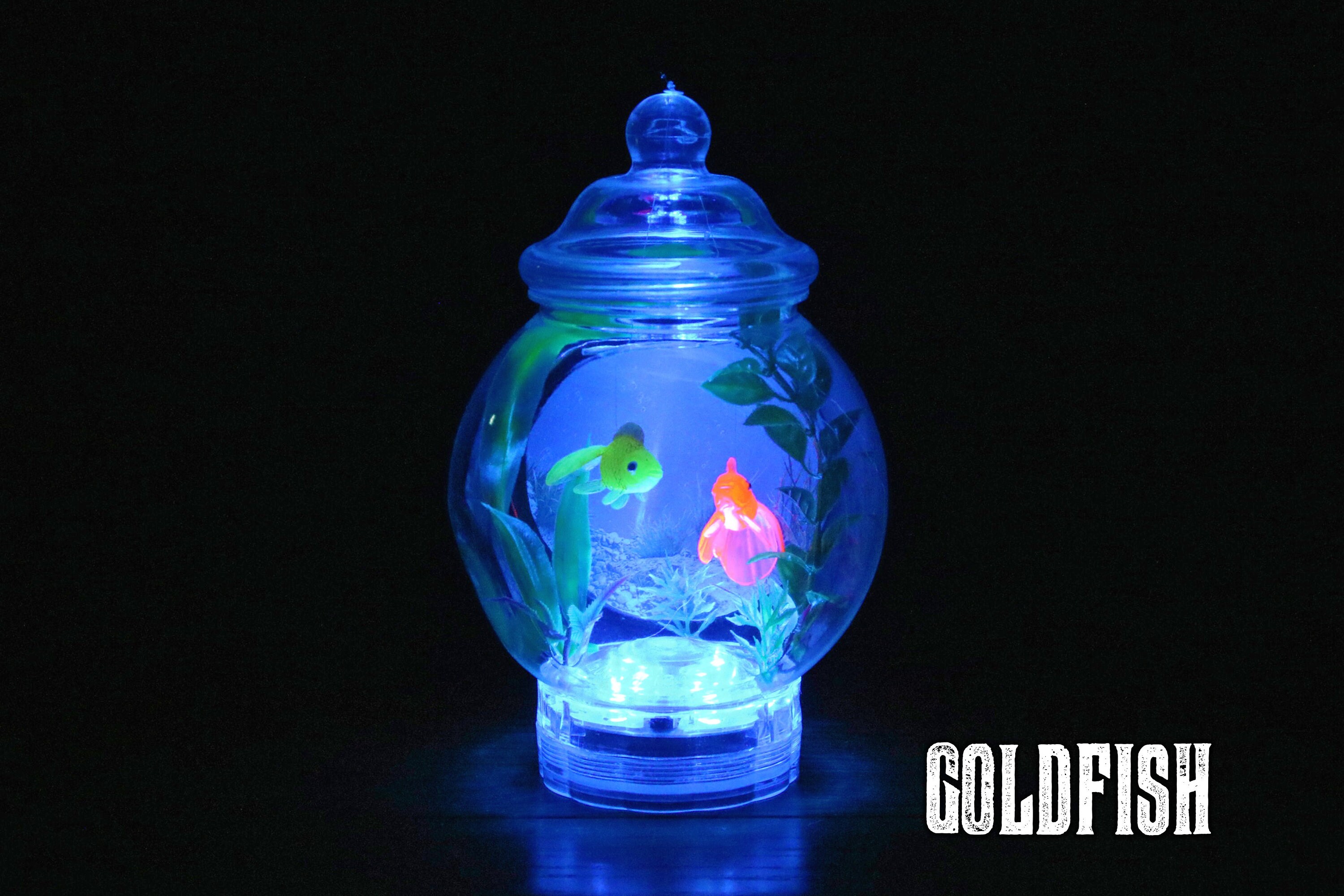 Fishbowl Lamp With Backdrop Etsy