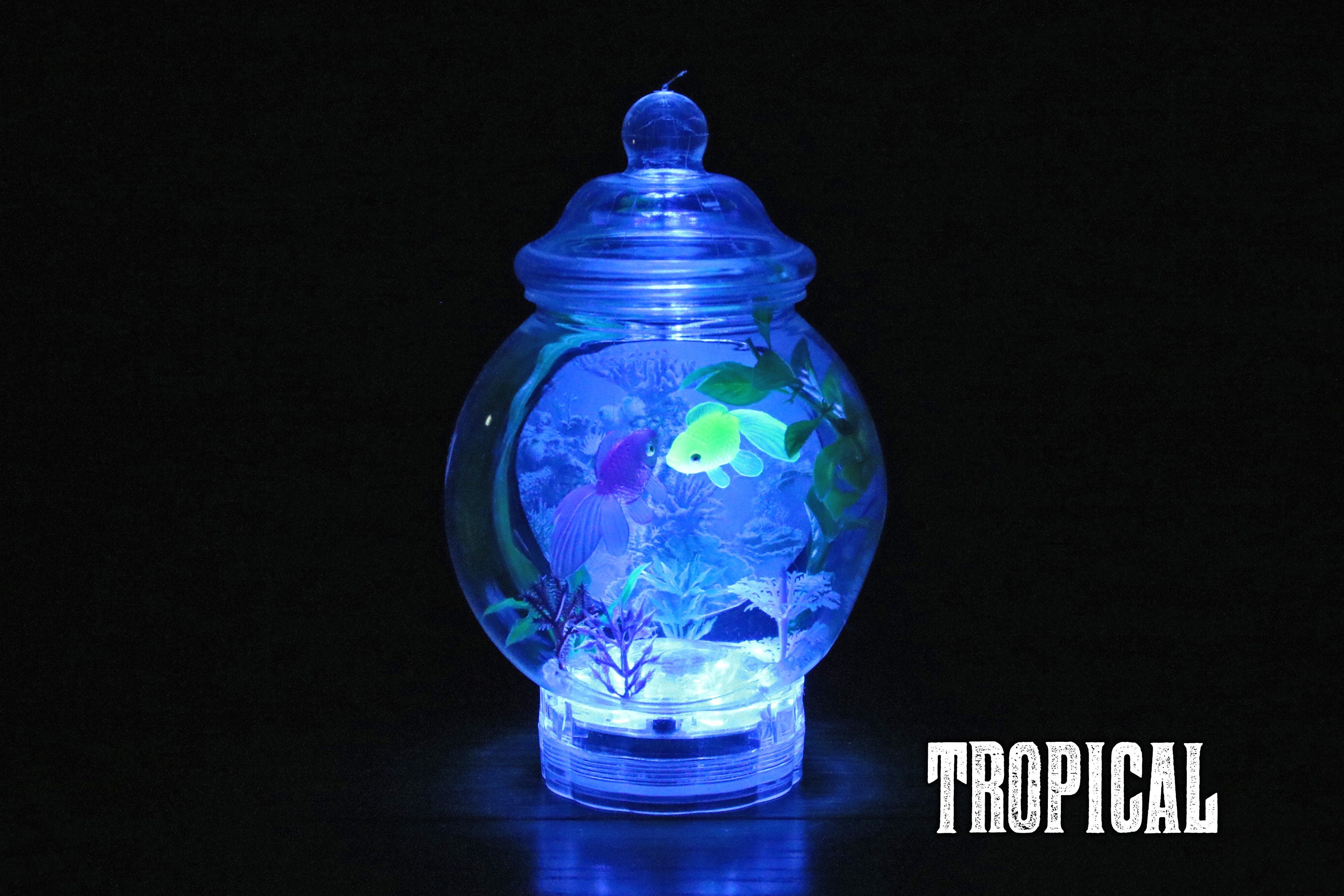 Fishbowl Lamp With Backdrop Etsy