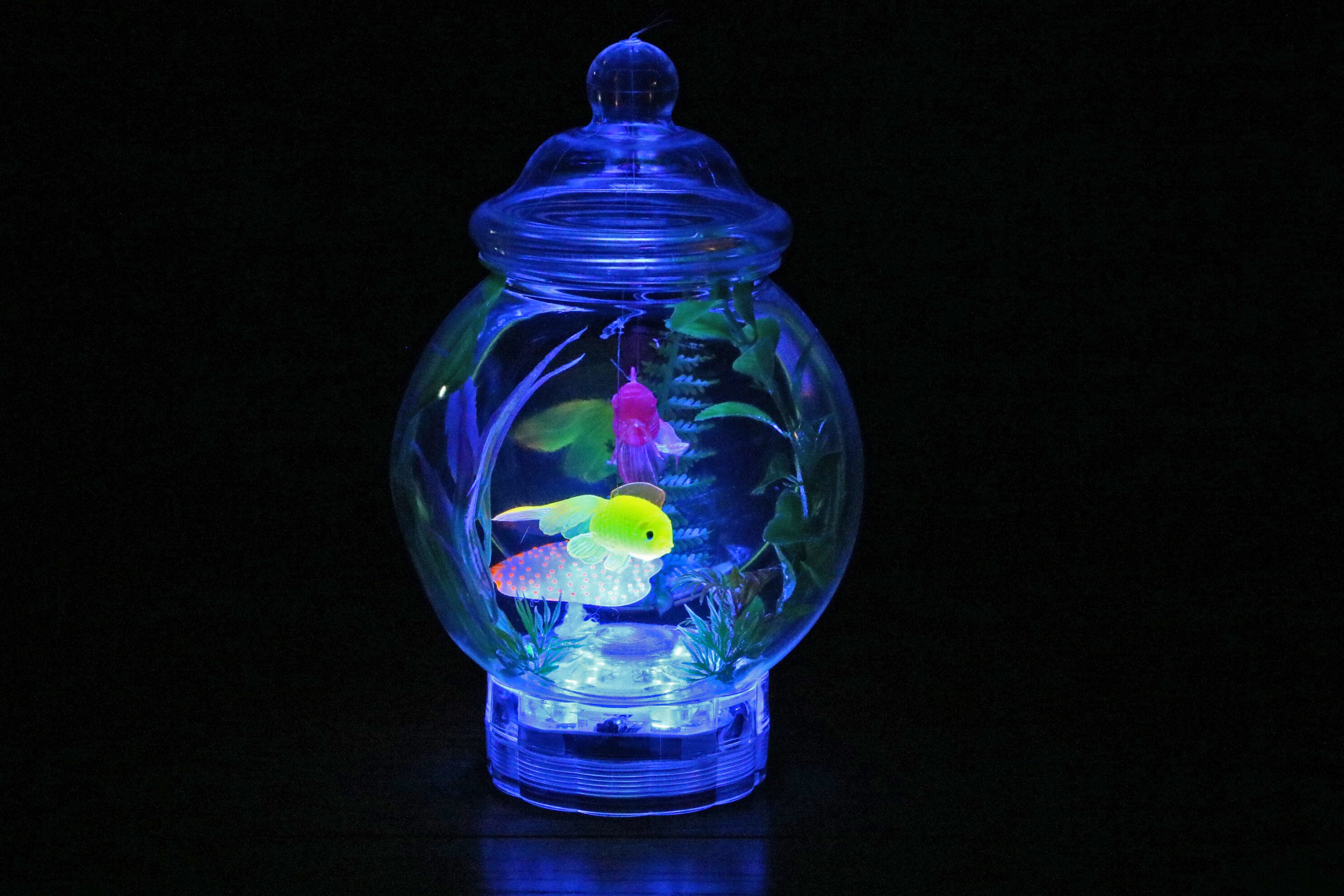 Fishbowl Lamp Tropical Edition Etsy