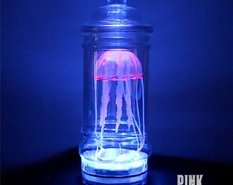 Jellyfish Lamp