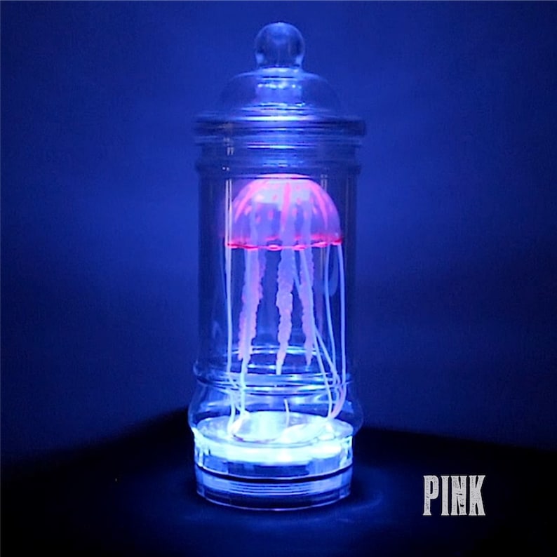 Jellyfish Lamp Etsy