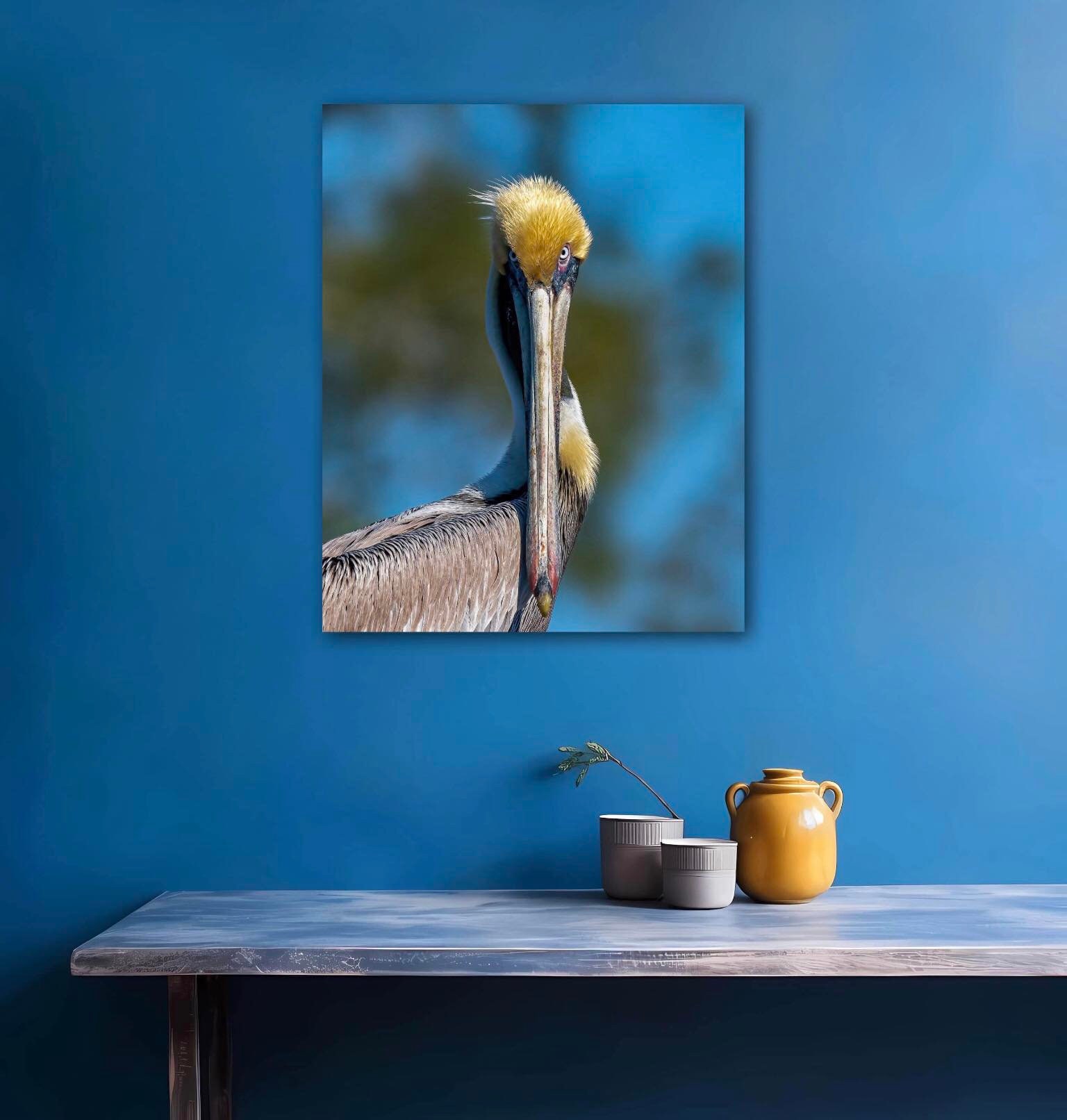 Fine Art Metal Photo Print of Brown Pelican Wall Art Photo Metal Print