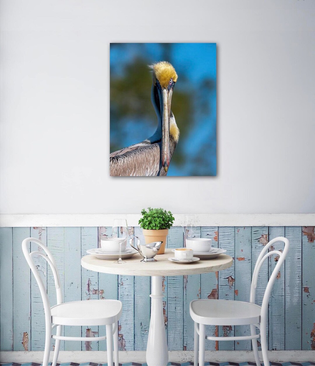 Fine Art Metal Photo Print of Brown Pelican Wall Art Photo Metal Print