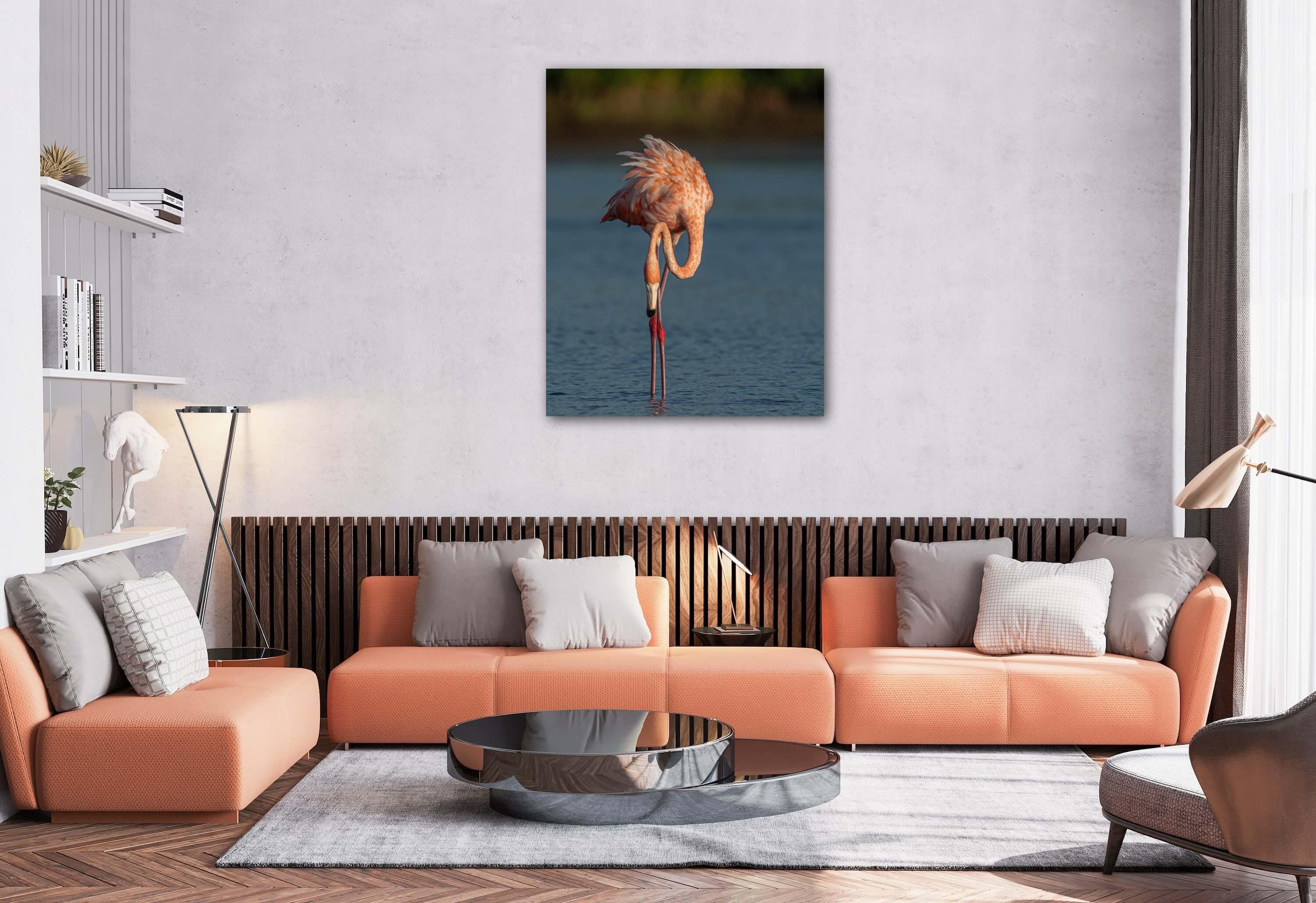 Fine Art Photo Metal Print of American Flamingo at Ft. De Soto Wall Art