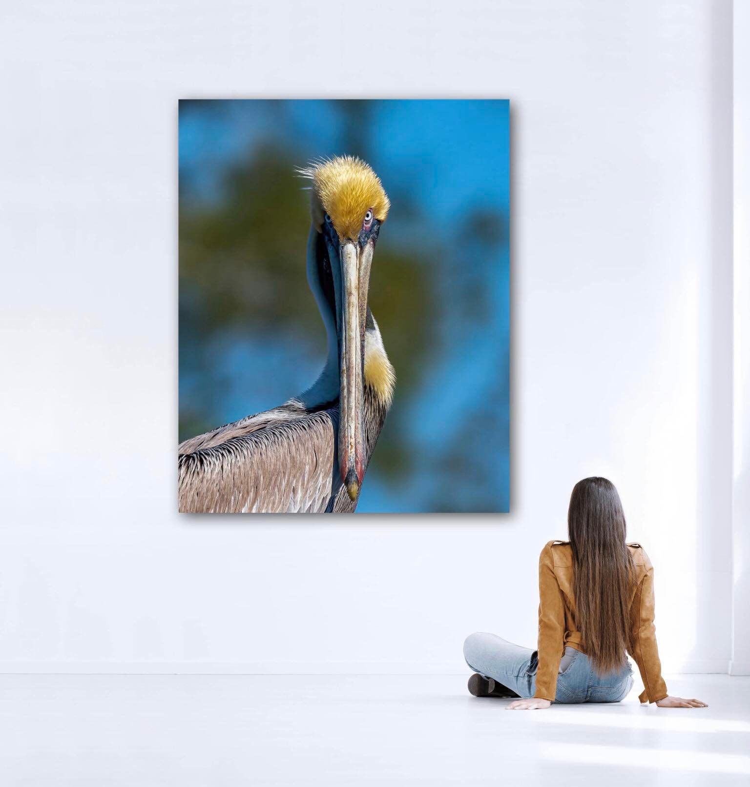 Fine Art Metal Photo Print of Brown Pelican Wall Art Photo Metal Print