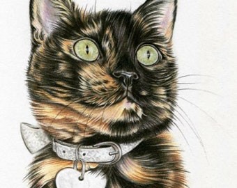 Può includere: Un ritratto ravvicinato di un gatto tricolore con occhi verdi che indossa un collare bianco con un ciondolo a forma di cuore. Il gatto guarda in alto e a destra, con i baffi visibili. Lo sfondo è bianco.