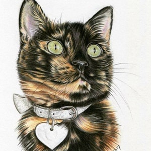 5x7&quot; Colored Pencil Pet Portrait