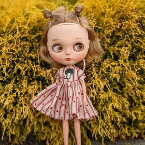 Neo Blythe/Licca Dress