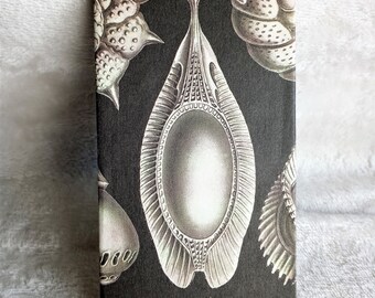 May include: A black and white notebook cover with a silver illustration of a sea creature with a large, round, pearl-like center. The creature is surrounded by smaller, detailed illustrations of other sea creatures.