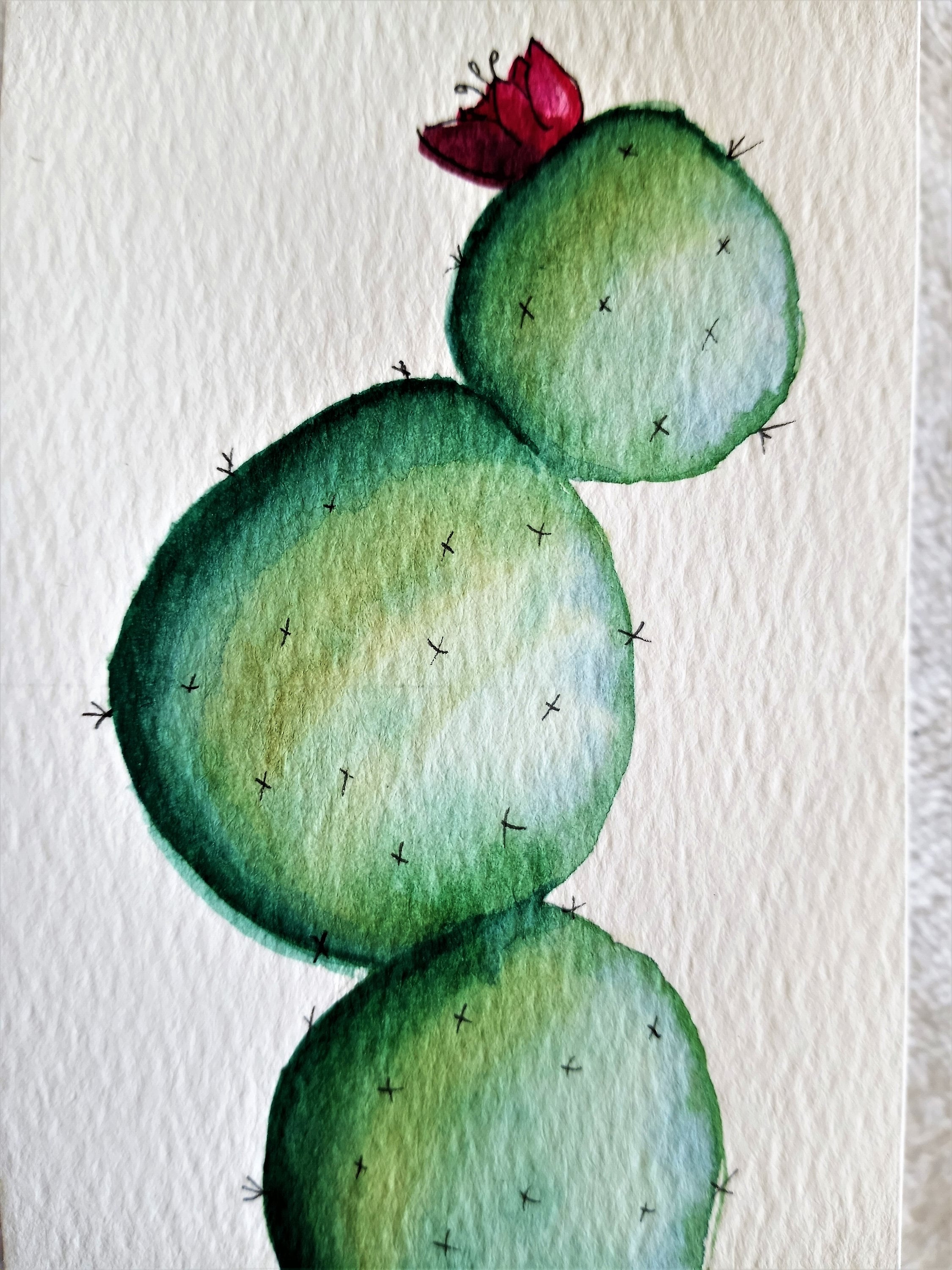 Cactus Watercolor - Etsy
