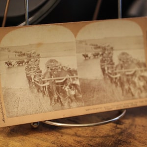 Boer War Stereoview Card: British Army Crossing Vaal River, 1900