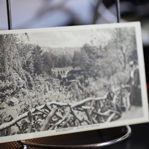 Antique Partie im Nerotal, (fête dans le parc du Nerotal) Wiesbaden - carte postale allemande - inutilisé