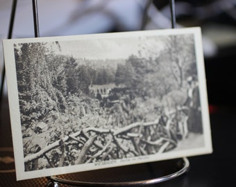 Antique Partie im Nerotal, (Fiesta en Nerotal Park) Wiesbaden - Postal alemana - Sin usar