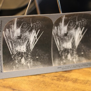 WWI Stereoscope Card: Splintered Tree, Keystone View Company