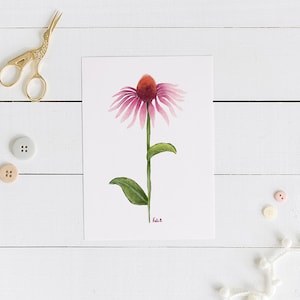 Echinacea Purpurea | Art Print | Home Decor | Wall Hanging | Gallery Wall | Illustration | 8x10 or 5x7