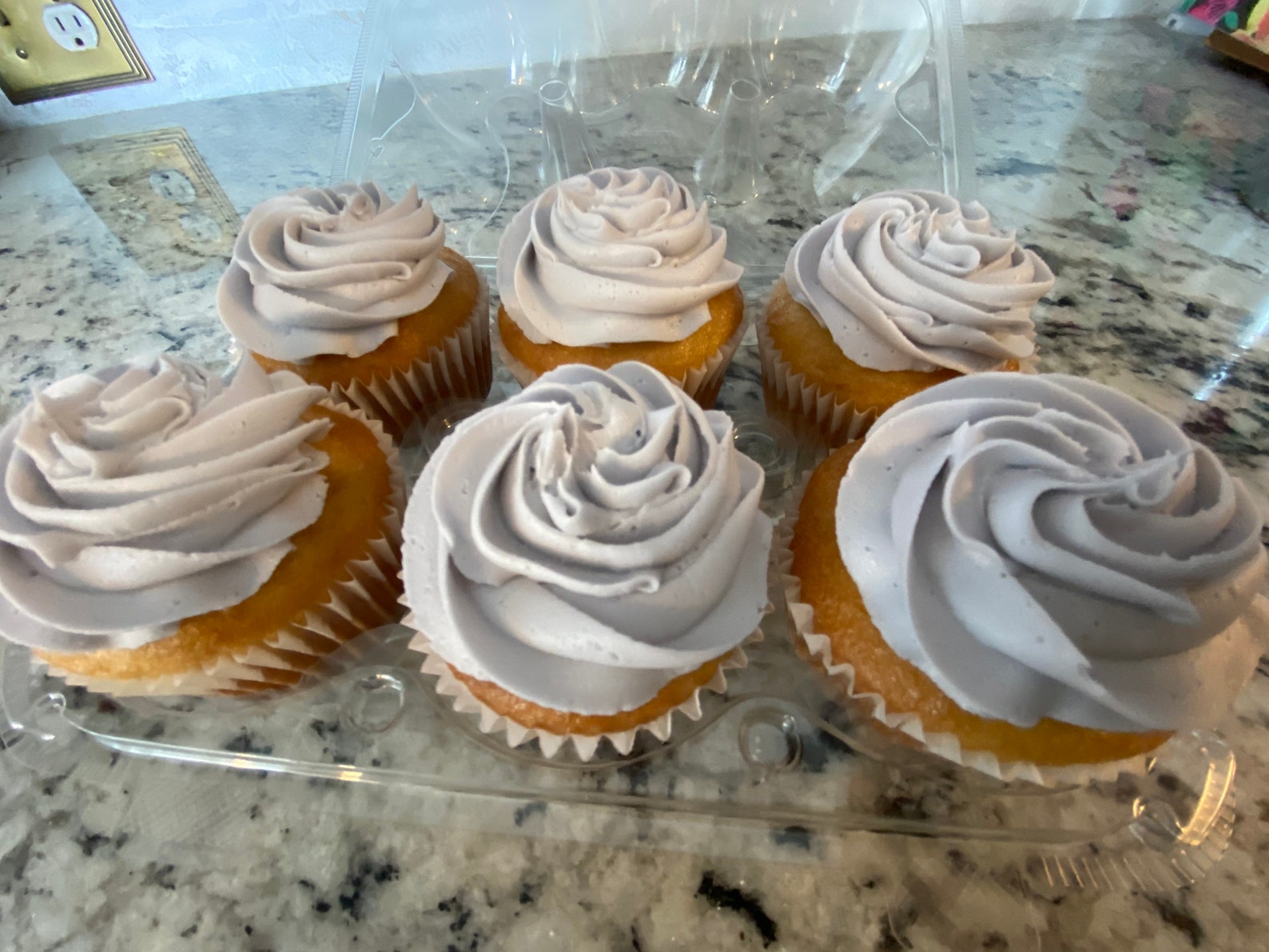 Gluten peanut and tree nut free cupcakes Etsy