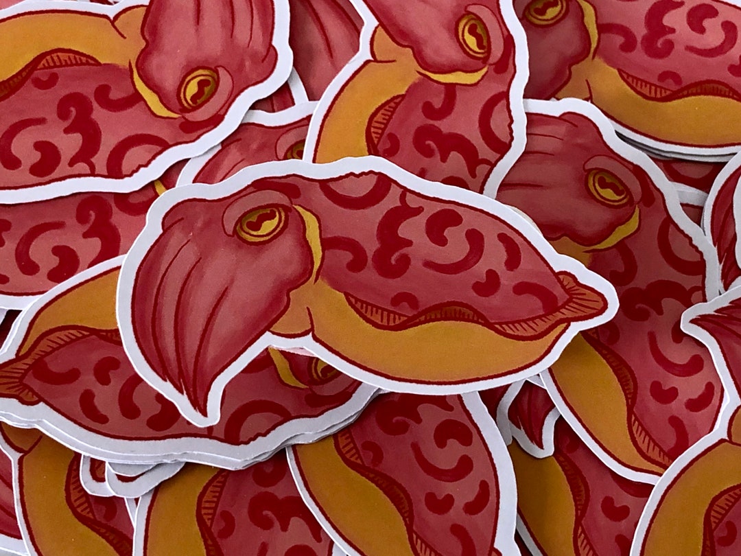 Cuttlefish Sticker - Etsy