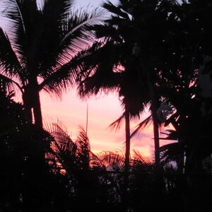 Hawaiian Sunset