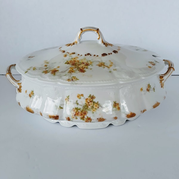 Haviland Limoges Gda Ch Field China Etsy
