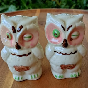 Shawnee Winking Owl - Etsy