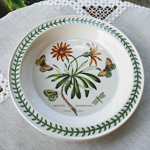 May include: A white ceramic plate with a green border featuring a botanical illustration of an African Daisy with butterflies and a dragonfly. The text "ARCTOTIS GRANDIFLORA African Daisy" is printed on the plate.
