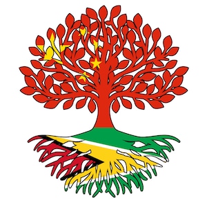 May include: A stylized tree with red leaves and a trunk that is the flag of China. The roots of the tree are the flag of Guyana.