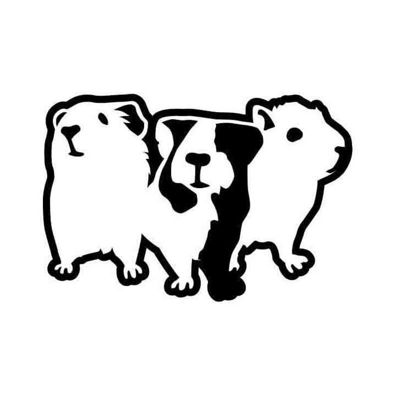 Download Guinea Pig vector .eps .svg .dxf & 1 .png Vinyl Cutter | Etsy