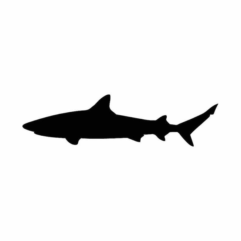 Free Free 188 Shark Svg File Free Download SVG PNG EPS DXF File