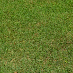 Green Grass Background Texture, Digital Download, Banner / Background Clipart, Texture Overlay, Photoshop Overlay, Stock Photo, Image 0006