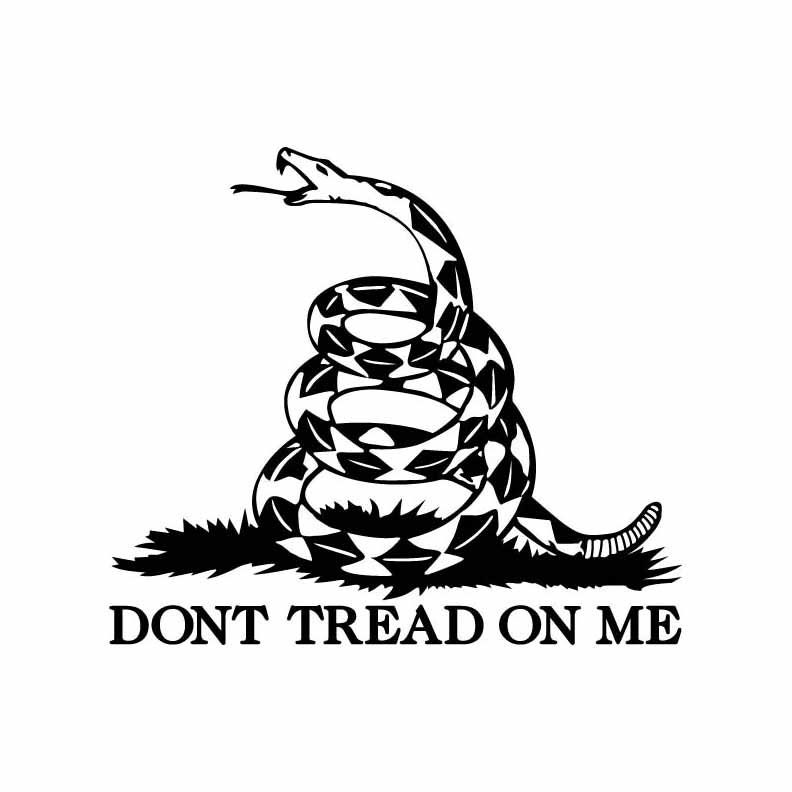 Dont Tread On Me Black Flag