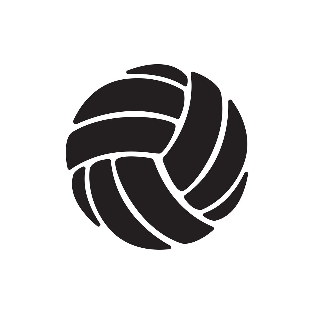 Volleyball INSTANT DOWNLOAD 1 Vector .eps, .dxf, .svg .png Vinyl Cutter ...