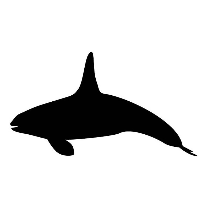 Orca Silhouette vector .eps, .dxf, .svg .png. Vinyl Cutter Ready, T-Shirt, CNC Killer Whale clipart graphic 1033 image 1