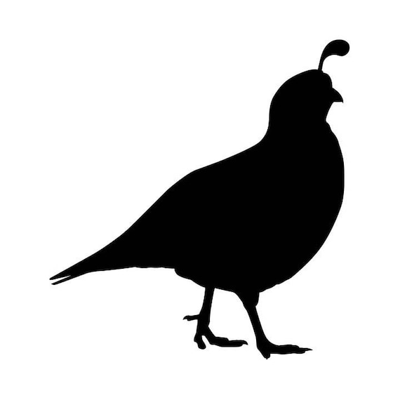 Quail Bobwhite .eps .svg .dxf & 1 .png Vinyl Cutter Ready | Etsy