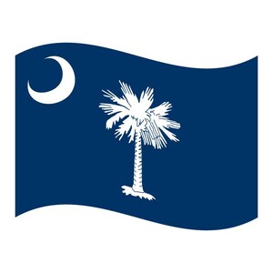 South Carolina Zustand Flagge Vektor: SC Silhouette (Digitaler Download)