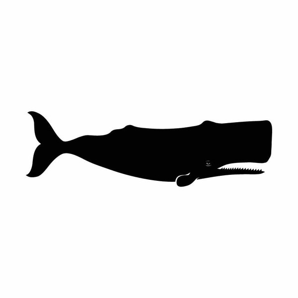 Whale Moby Dick INSTANT DOWNLOAD 1 vector .eps, .dxf, .svg .png. Vinyl Cutter Ready, T-Shirt, CNC clipart graphic 0207