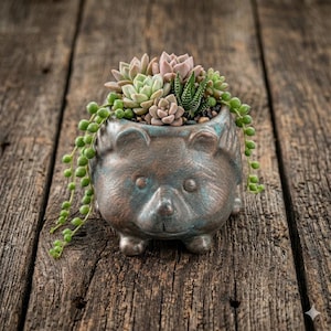 May include: A bear-shaped planter with a distressed bronze finish, filled with a variety of succulents and trailing string of pearls. The planter sits on a weathered wooden surface, creating a rustic aesthetic.