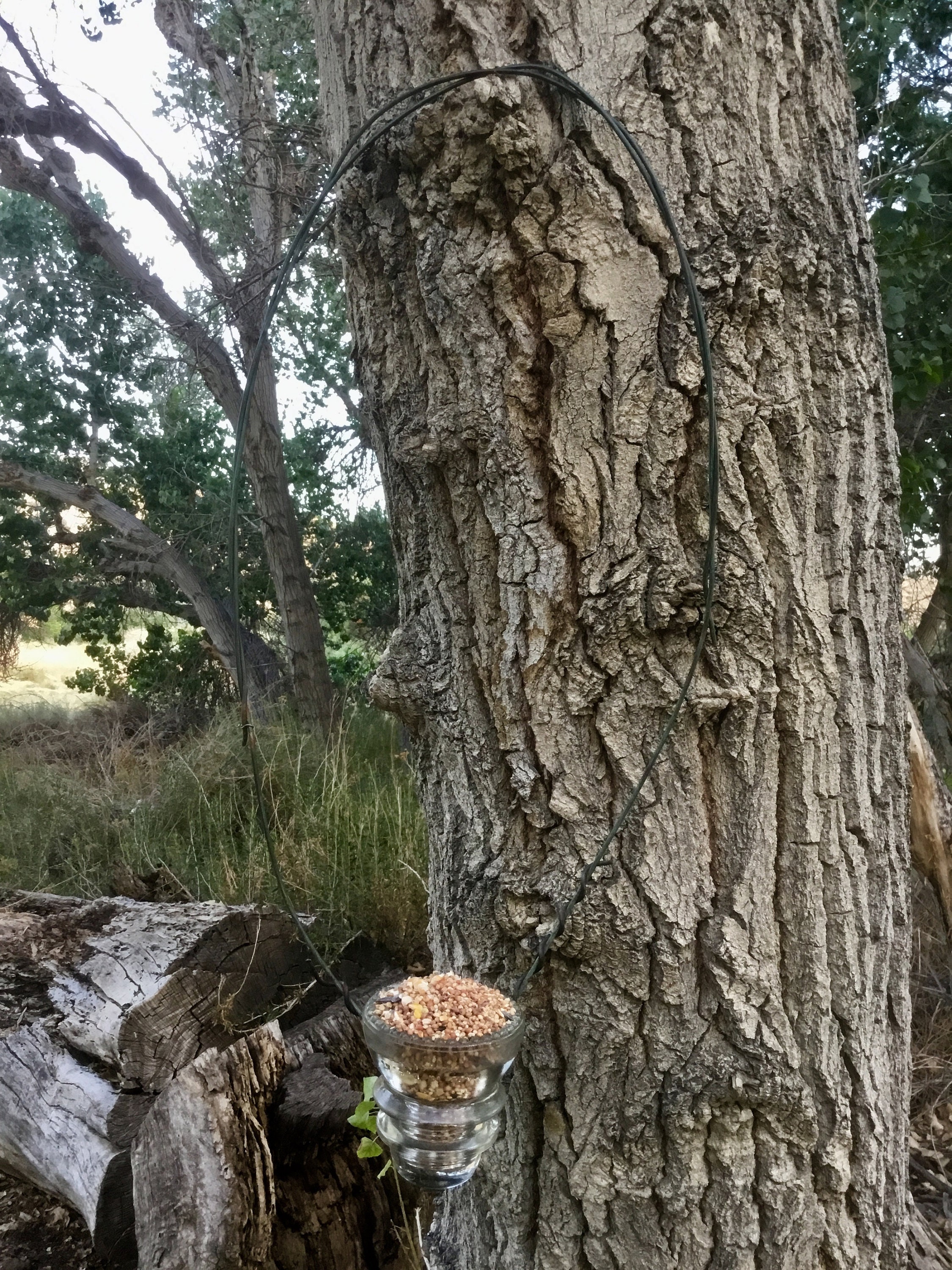 Telephone Pole Glass Insulator With Its Original Wire Hanger