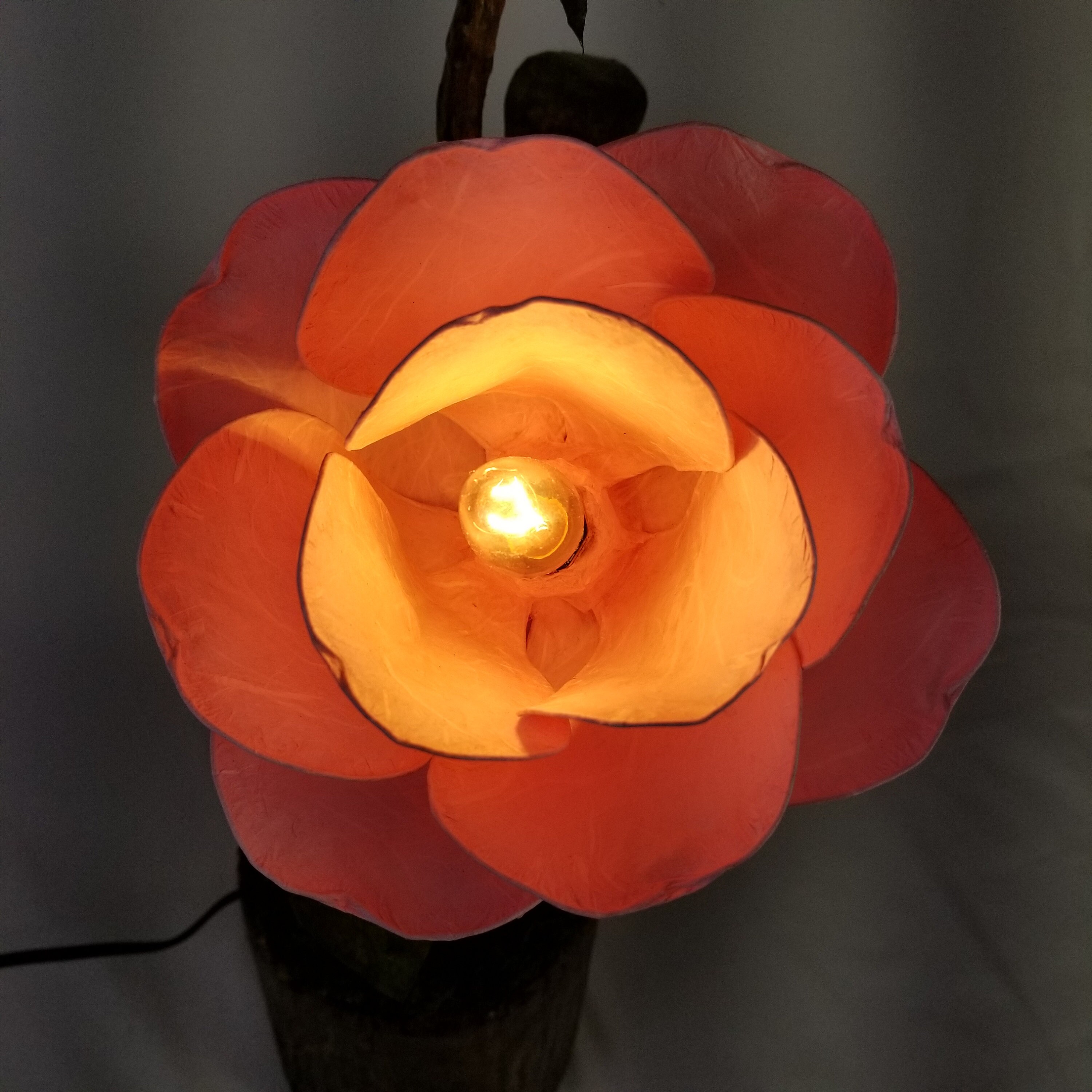 Light Pink 2 Rose Flower Table Lamp Etsy