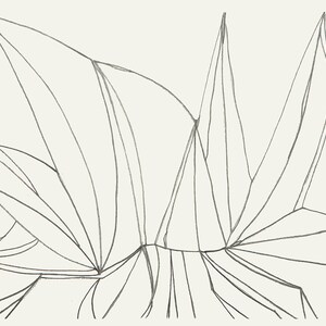 Line Drawing Agave Abstract. Botanical, Cactus,  Modern Art Print, Black and White, Minimalist, Geometric Contemporary,  Downloadable