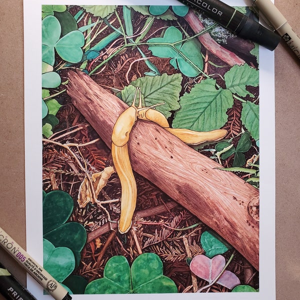 Banana Slug Print | Finding Love On The Forest Floor Illustration