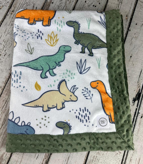 Baby Boy Minky Blanket Dinosaurs Dinosaur Baby Blanket Sage