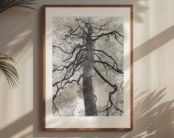Natur Zeichnung, Natur Zeichnung, Monochrome Wald Wand Kunst