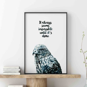 Hawk, 29,7x42 cm, Hawk print, Falke, fine art, hawk bird, animal print, Hawk poster, funny quote, urbanjunglestories, berlin, Hawk Art, deco
